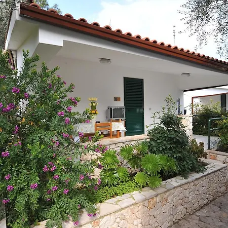 Camping Village Degli Ulivi